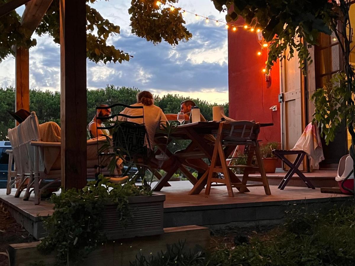 Podere Orzale Hospitality & Quarter Horses Usigliano Eksteriør bilde